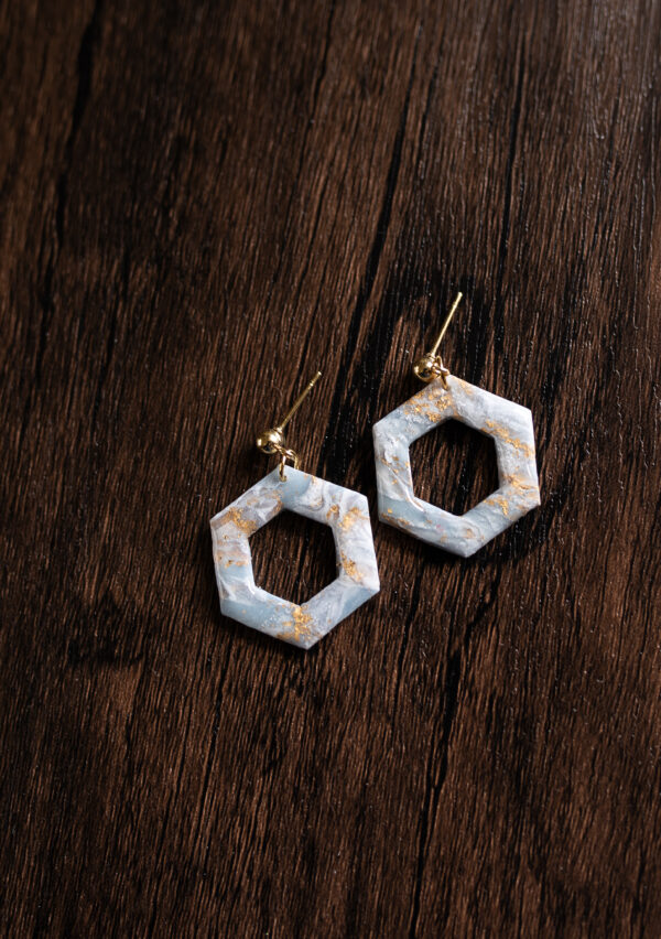 DSC_7688 Elegant Hexagon