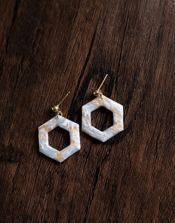 DSC_7689 Elegant Hexagon